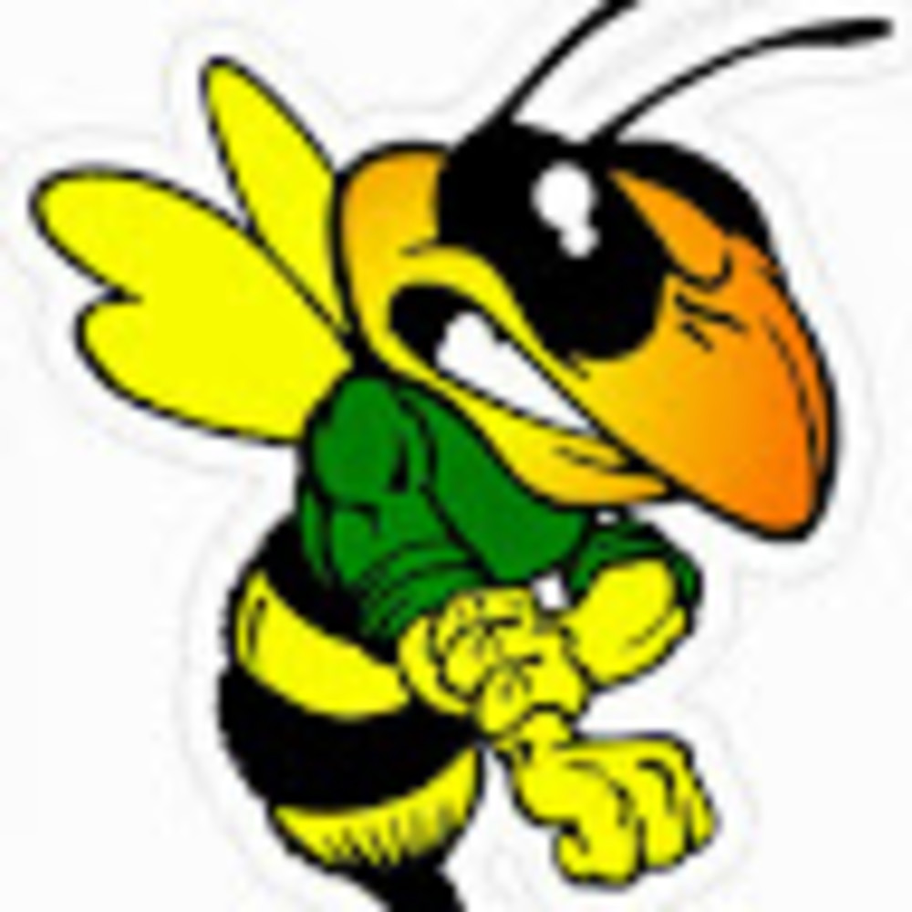 Meet your Posher, Bee